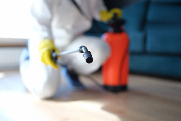 Best Mold Documentation for Insurance Claims  in Bowling Green, KY