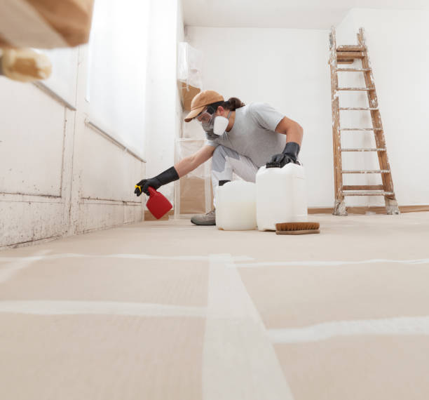 Best Mold Prevention Services  in Bowling Green, KY